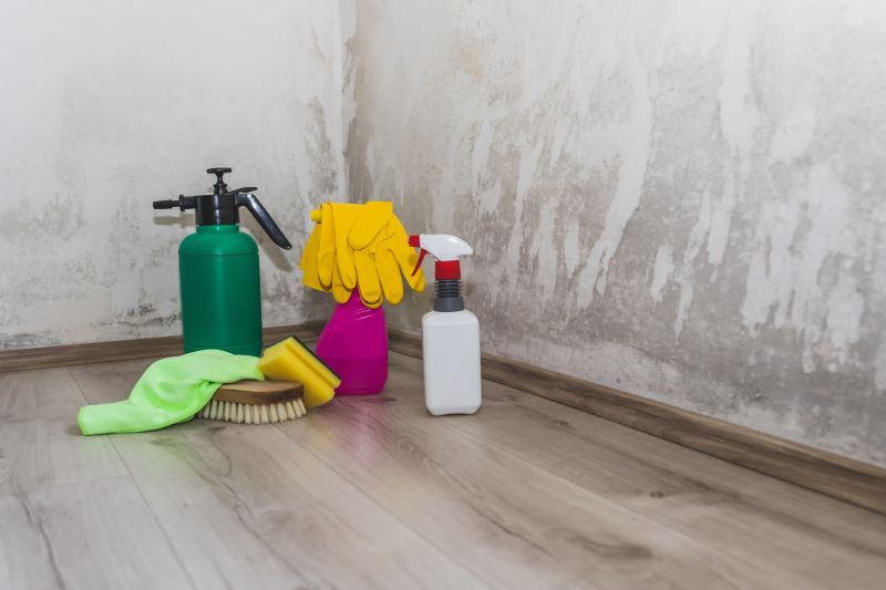 Crawl Space Mold Removal in Essex County, NJ