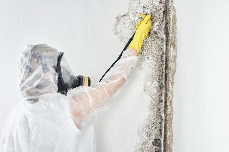 Mold Control in Essex County, NJ