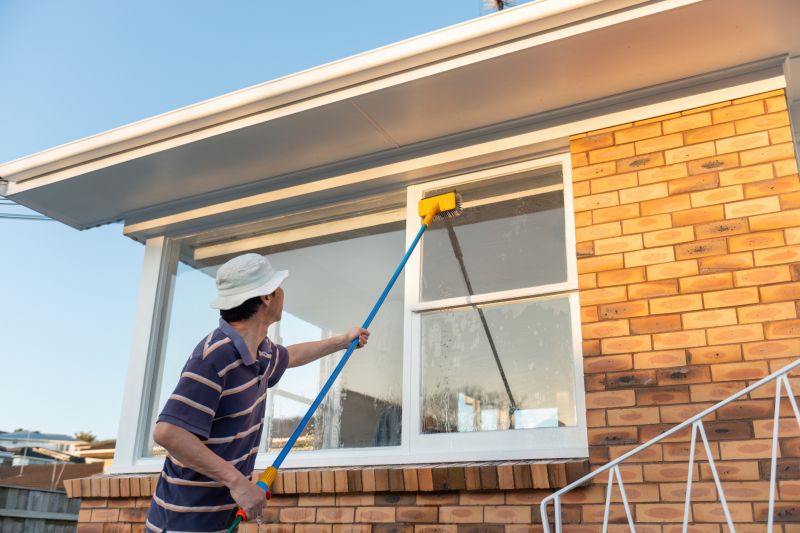 Wall Cleaning Service