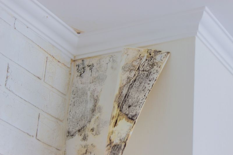 Air Duct Mold Removal in Essex County, NJ