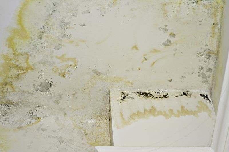 Air Duct Mold Removal in West Palm Beach, FL