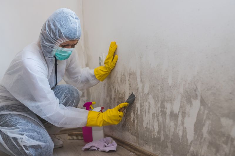 Basement Mold Remediation in Essex County, NJ