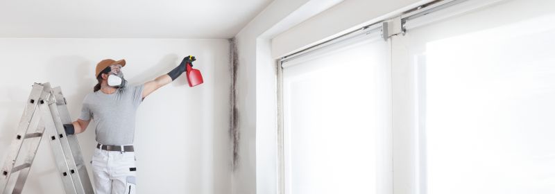 Basement Mold Remediation in Dallas, TX