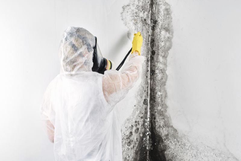 Basement Mold Removal in Dallas, TX