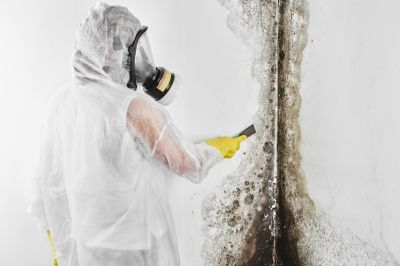 Black Mold Removal in Palm Beach County, FL