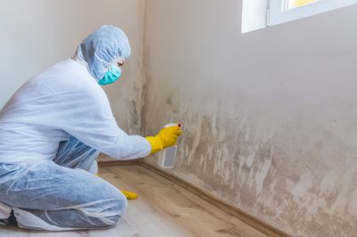 Garage Mold Remediation in Jupiter, FL