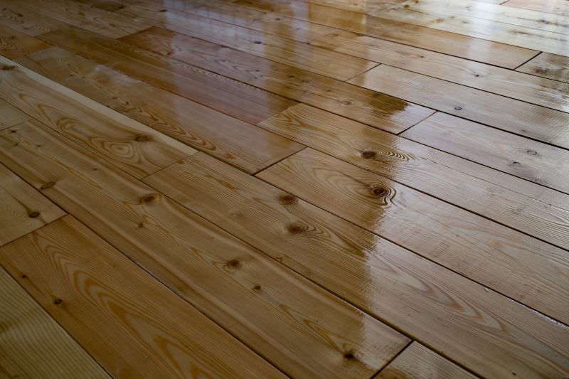 Polished Hardwood Floor