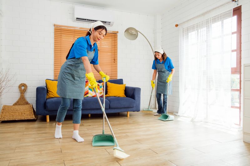 Living Room Cleaning