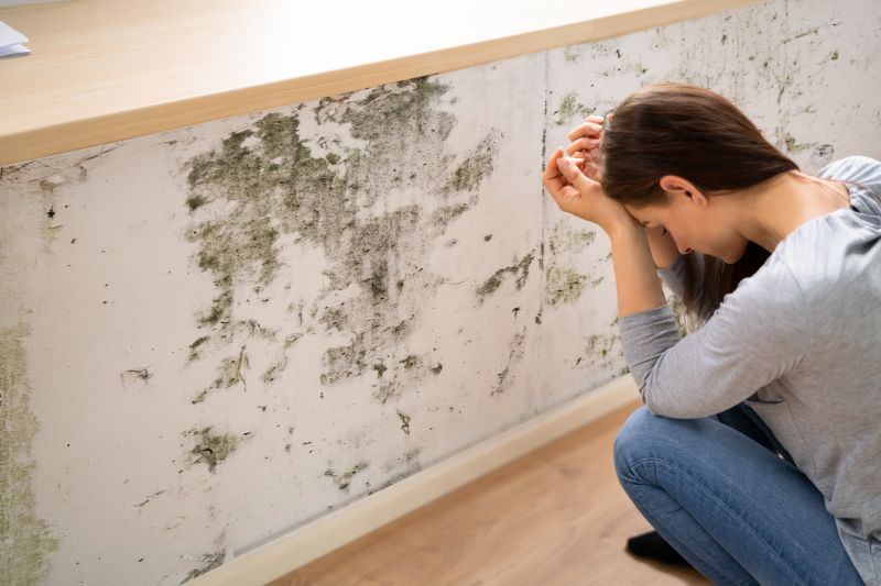 Mold Abatement in Bergen County, NJ