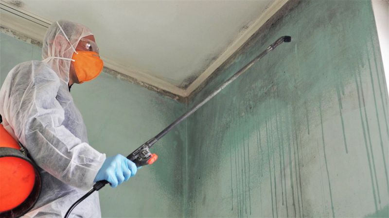 Mold Removal in Dallas, TX