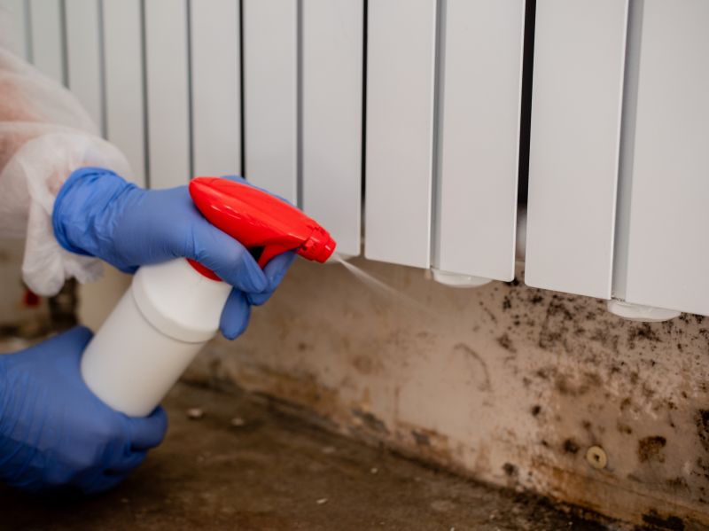 Mold Removal in Fort Worth, TX