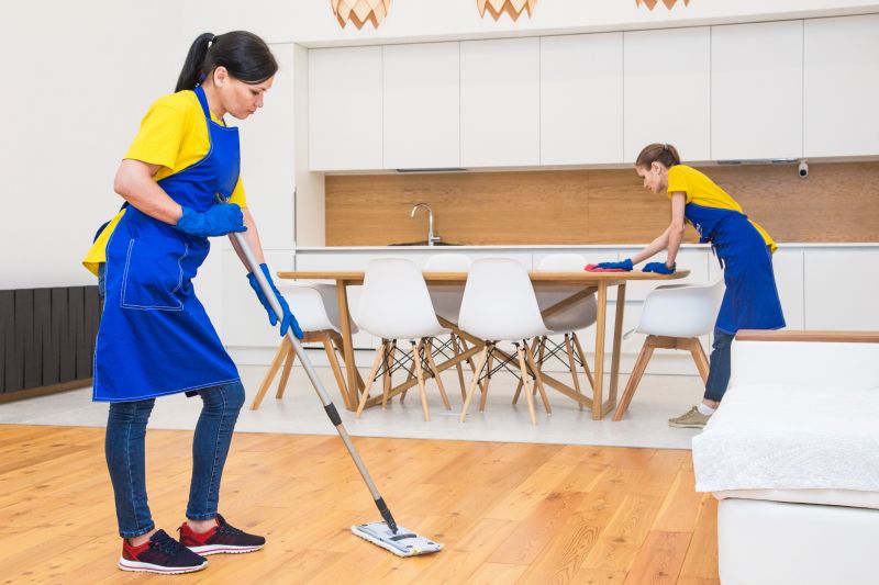 Townhouse Deep Cleaning in Redmond, WA